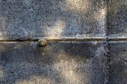 ブロック塀とカタツムリ ブロック塀,カタツムリ,自然の写真素材