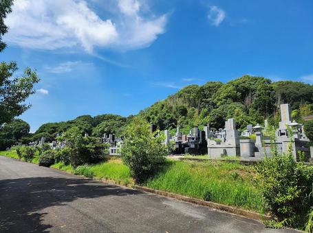 お墓参り 初秋 お墓参り 初秋 秋,初秋,墓参りの写真素材