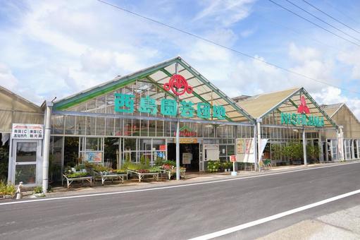 西島園芸団地 西島園芸団地 西島園芸団地,高知県,南国市の写真素材