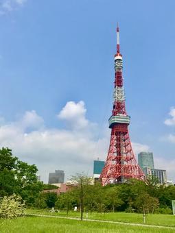 晴れの日の東京タワー 晴れの日の東京タワーの写真