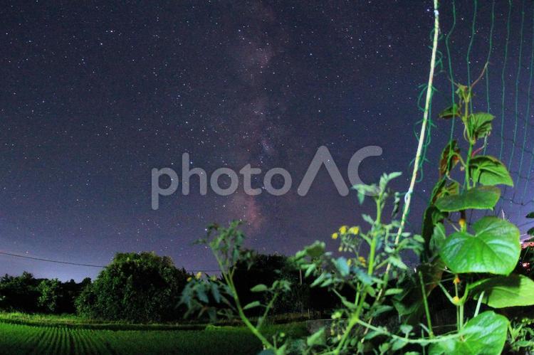 家庭菜園と星空・天の川250703 星空,天の川,夜空の写真素材