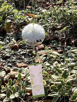 夏の野外の風鈴 夏の野外の風鈴の写真