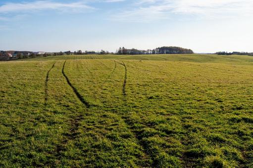 轍が残る別海町の牧草地の午後 草原,草,タイヤ痕の写真素材