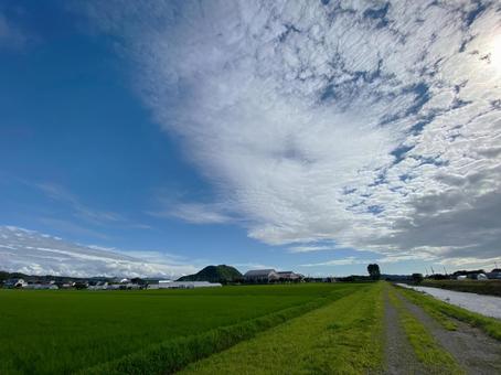 Photo, summer sky, wide sky, big sky, 