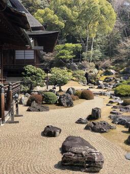 京都 醍醐寺 庭 2月 京都 醍醐寺 庭 2月の写真