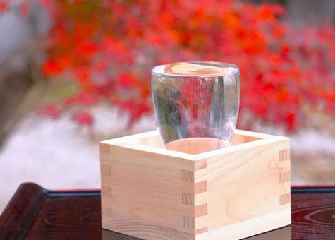 日本酒（紅葉） 秋,紅葉,酒の写真素材