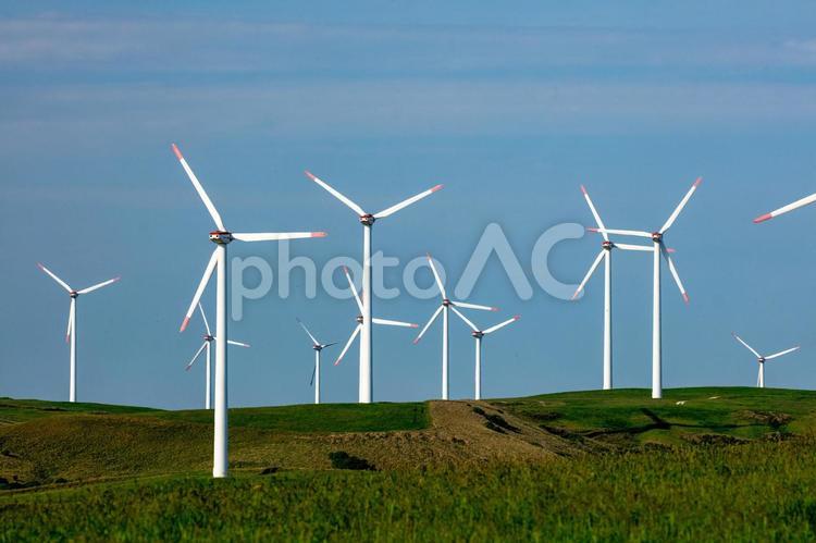 林立する風力タービン きれい,のどか,ゆとりの写真素材