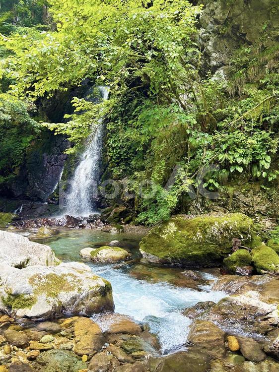 新緑に映えるごろごろの滝 ゴロゴロの滝,川,河川の写真素材