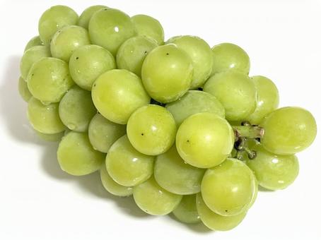 シャインマスカット シャインマスカットの写真
