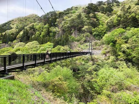 鬼怒楯岩大吊橋の写真