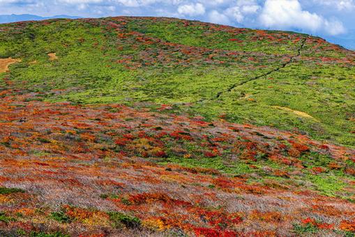 秋色に染まる 栗駒山の絶景 秋色に染まる 栗駒山の絶景の写真