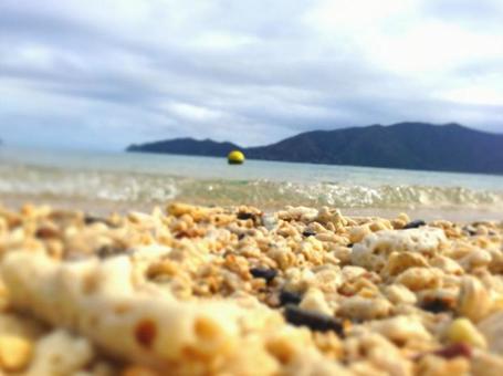 浜辺 浜辺の写真
